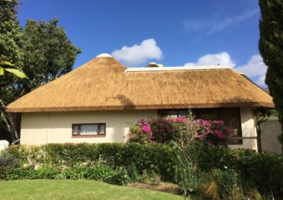 Thatch Roof in Constantia