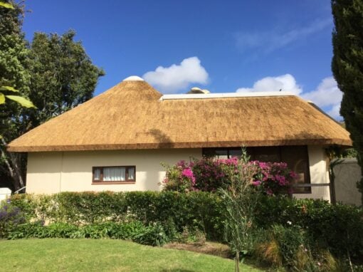 Thatch Roof in Constantia