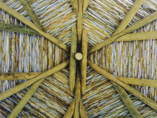 Pergolas offer exceptional value for money – alternative to thatch