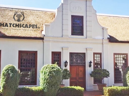 Re-thatch Durbanville