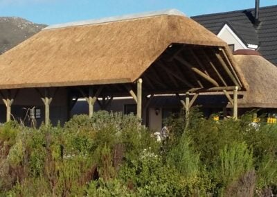 Thatch Lapa