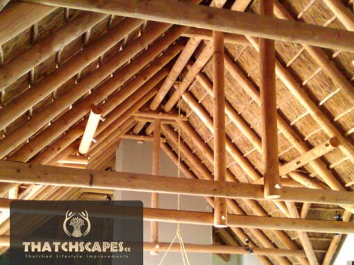 Structural roof designs are very important to create beautiful interiors