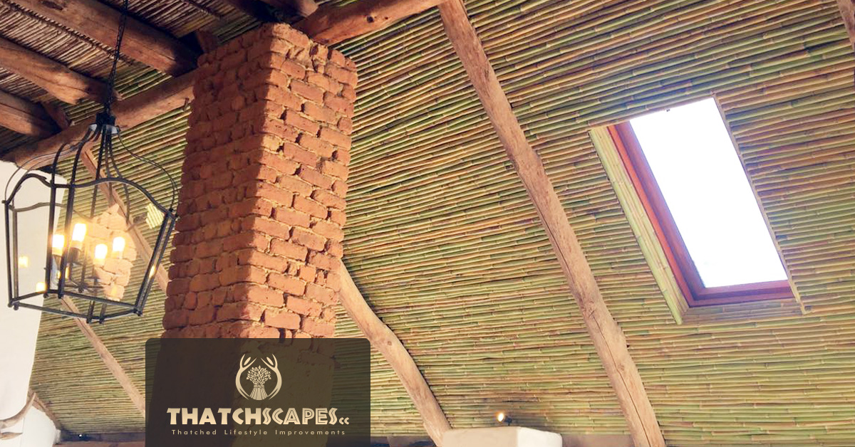 Bamboo Ceiling Paarl