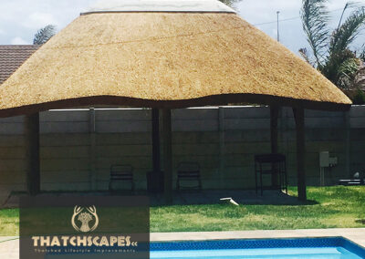 Thatched Lapa Brackenfell