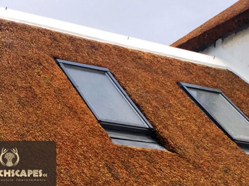 Thatch Roof Windows
