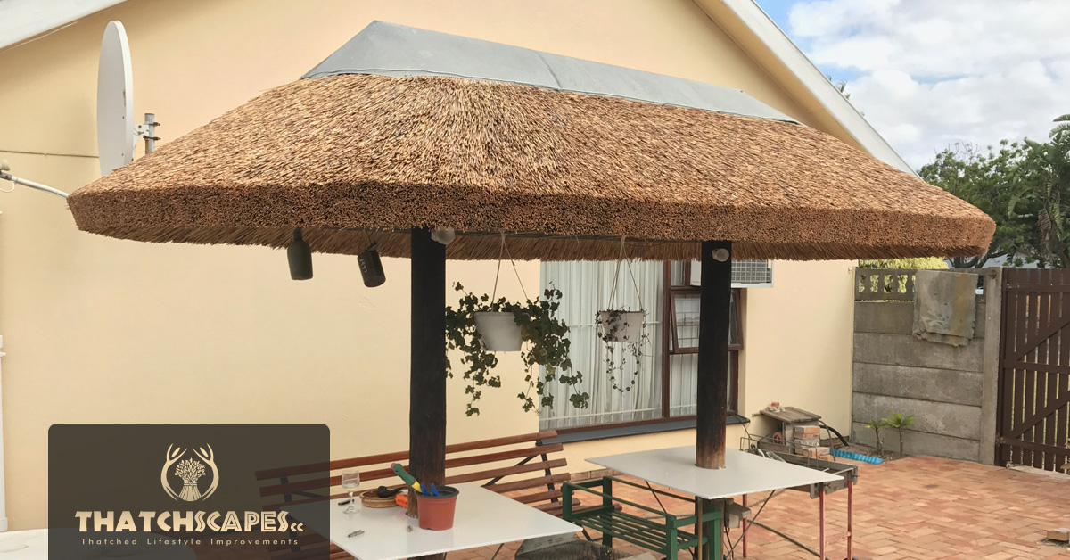 Thatch Lapa