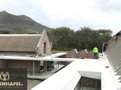 Thatch Roof – Noordhoek