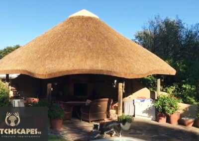 Thatch Lapa